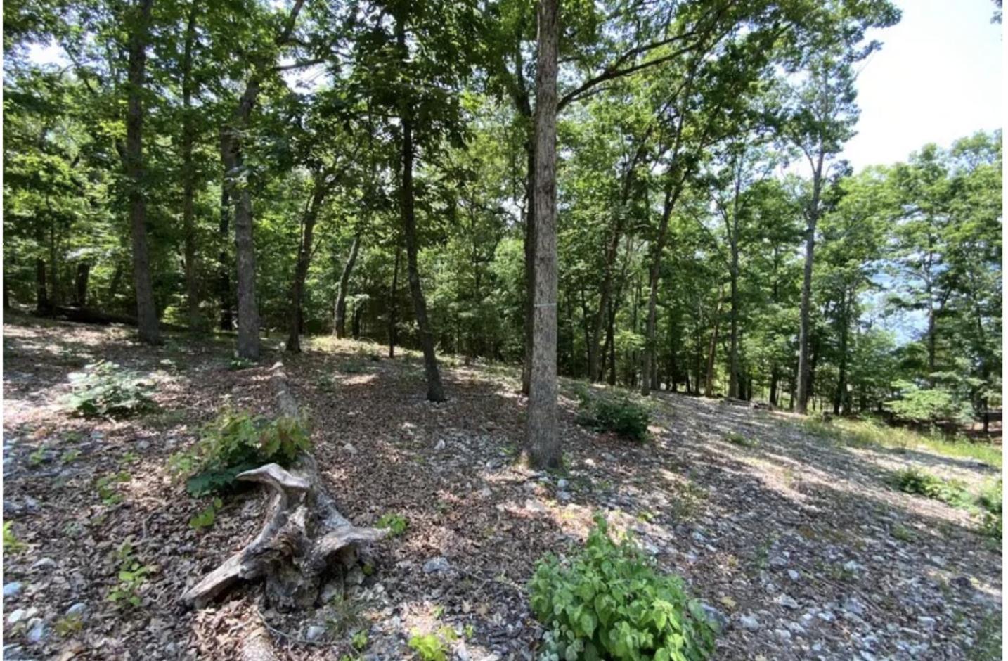Driftwood Resort Bull Shoals Kültér fotó
