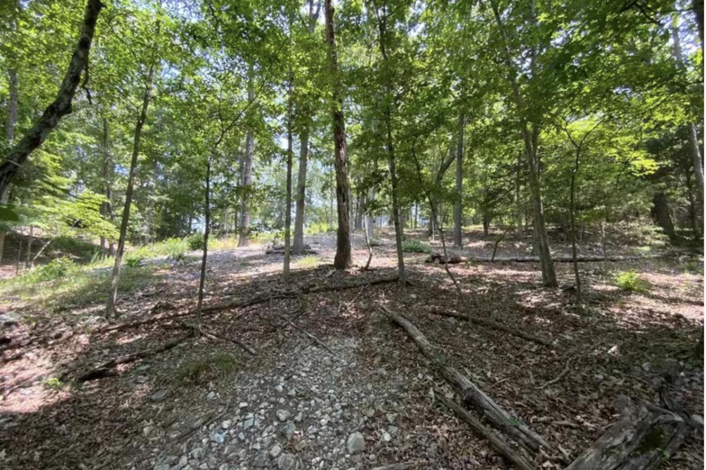 Driftwood Resort Bull Shoals Kültér fotó